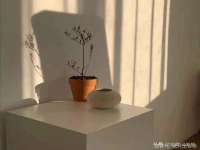南通彩色鱼纺织品有限公司