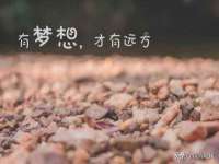 南通彩色鱼纺织品有限公司